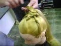 Curso de Penteado - Mes de Outubro 2008