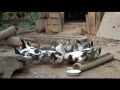 luang-prabang-laos-party-on-the-mekong.html