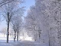 untitled_0001.wmv