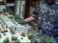 Olszewski Main Street USA Part 2b
