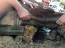MOV00004.3GP