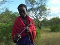 Maasai tootbrush Maasai tootbrush