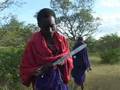 Maasai tootbrush