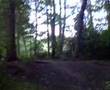 Swamp Jump