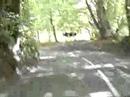 Zig Zag Hill Down