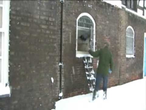 Raven Snow
