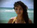 Tortugas / Sea Turtles