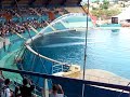 whale show in france(near nice)