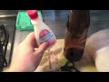 Como hacer vasos con botellas de vidrio