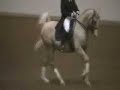 Gen Custer at Arabian Sport Horse Nationals 2007