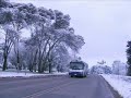 Parque Pereyra Iraola nevado