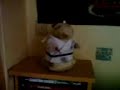 Hamster Singing Kung Fu Fighter Hamster Singing Kung Fu Fighter