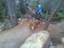 Lepus jump! Lepus jump!