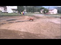 Show video