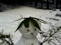 Kicevo Knezino Snesko Kaj Kucarkana Od Lopusnik Kicevo Knezino Snesko Kaj Kucarkana Od Lopusnik