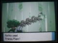 Blast Burn - Frenzy Plant - Hyrdo Cannon + Where to get them [PKMN D/P/Pt]