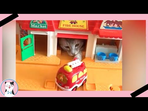 Funny Cats React To Toy And Video Game|| Funny Baby and Pet