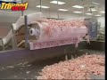 Sushi Making in an Icelandic Factory