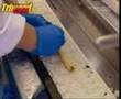 Sushi Making in an Icelandic Factory
