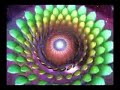 The Crown Chakra