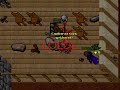 Bs Quest
