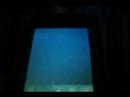 Ipod Touch IntelliScreen Application Ipod Touch IntelliScreen Application