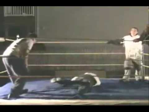 bbw fight