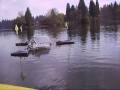 Whole Lake Circulation