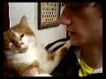 STV Kribz: Brandon Lozier STV Kribz: Brandon Lozier