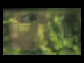 deep forest eric mouquet video amazonia from the album deep brasil