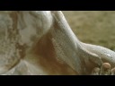Canon EOS 300D - The shot with James Nachtwey