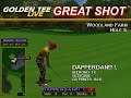 Golden Tee Great Shot on Woodland Farm! Golden Tee Great Shot on Woodland Farm!