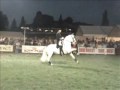 Thumbnail #1