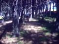 Mega Avanlanche Vallnord 2009 Video desde el Casco de Carlos Coloma Parte 2