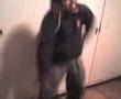 C-walck - baile del pollo -porrazo