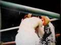 boxing