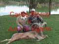 Venado de Saúl (cazarco)