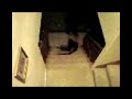 Acrobatic Skills