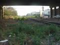 Special train ด่วนพิเศษ 2512(Sprinter)Under Bridge Thailand