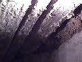 Water Intrusion: It\