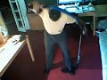 Torcore Golf Swing and Fitness Trainer