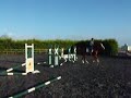 Monty Ex-Racehorse For Sale Crosspole