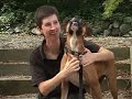 Animal Protection Society of Durham, NC