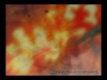 (H.H)AMV
