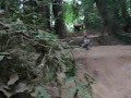 The Berm