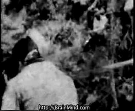 Rape of Nanking Nanjing Massacre ...