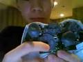 videos de What to do if you're xbox360 controller breaks