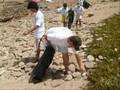 Protection de L'Environnement