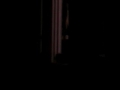 Amateur Comedy on Cruise Ship - Part One