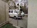 World Record High Jump - Sue the Dog
